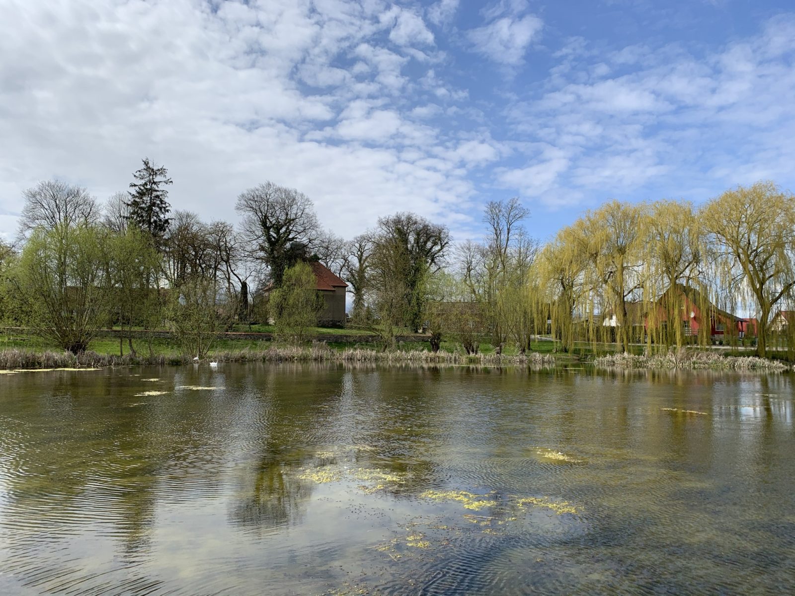 Amt Penzliner Land Dagmar Kaselitz